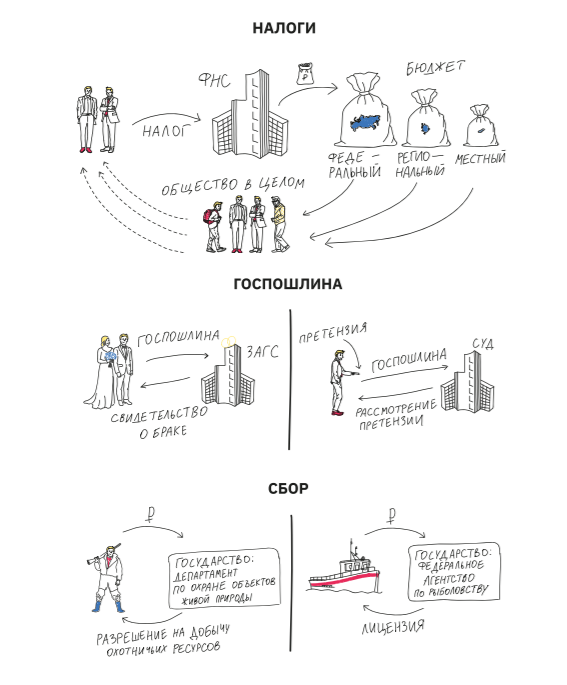 Чем отличаются налоги, сборы и пошлины. Иллюстрация из учебника "Финансовая грамотность"