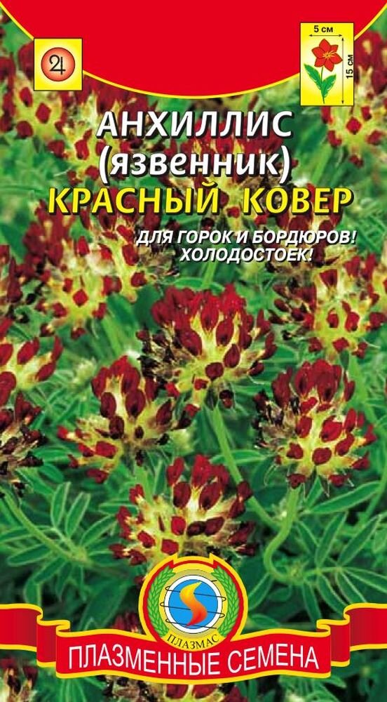 Источник: http://www.plasmaseeds.ru/tsvety/mnogoletnie/anhillis-yazvennik-krasny-j-kover/