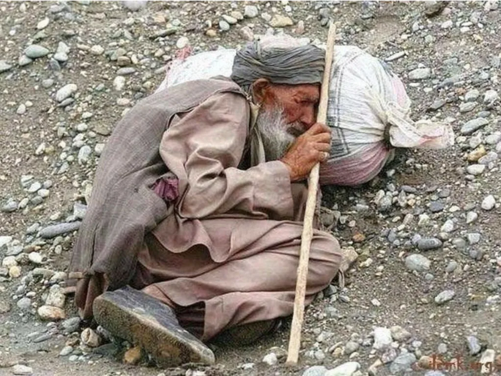 Фотоиллюстрация из свободного доступа в интернете