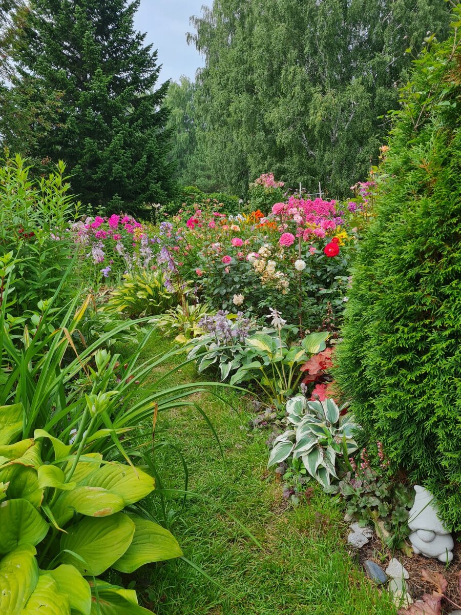 Общий вид сада