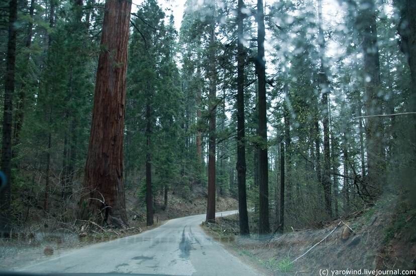 Национальный парк Секвойя, Калифорния