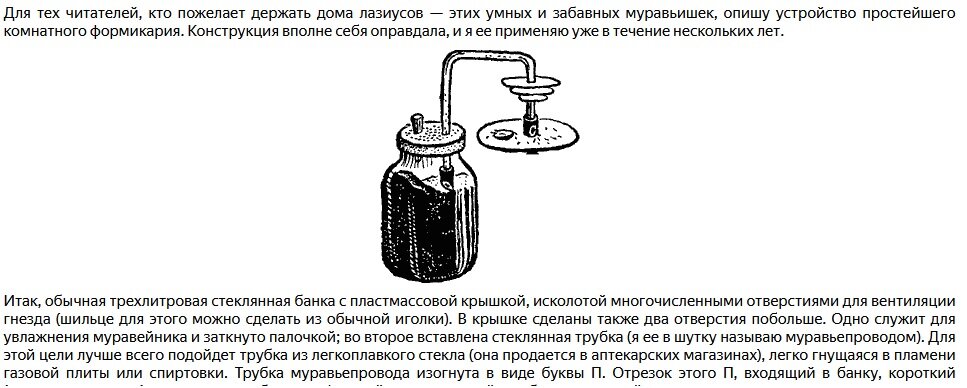 Описание домашнего формикария в книге "Тайны мира насекомых"
