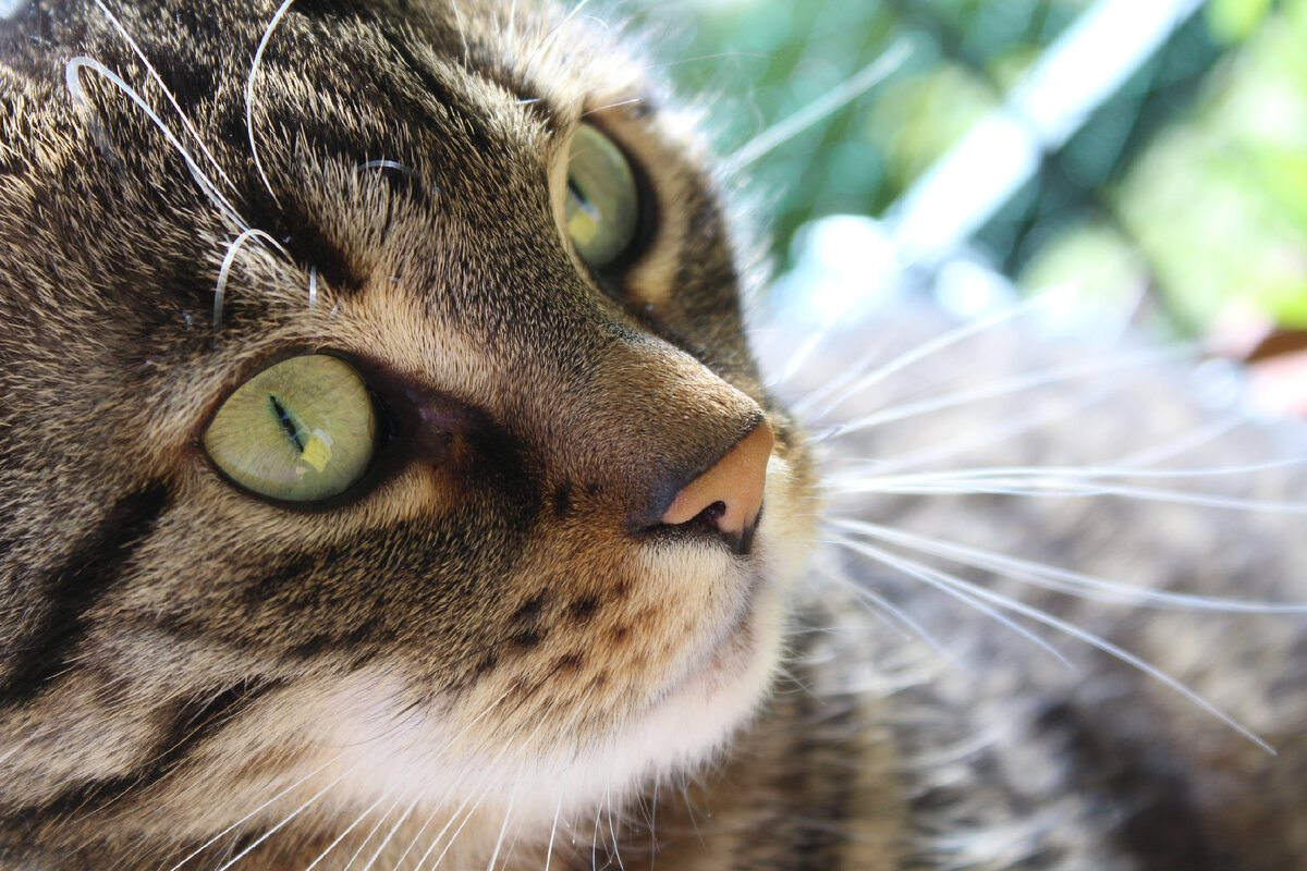 Источник: pxhere.com