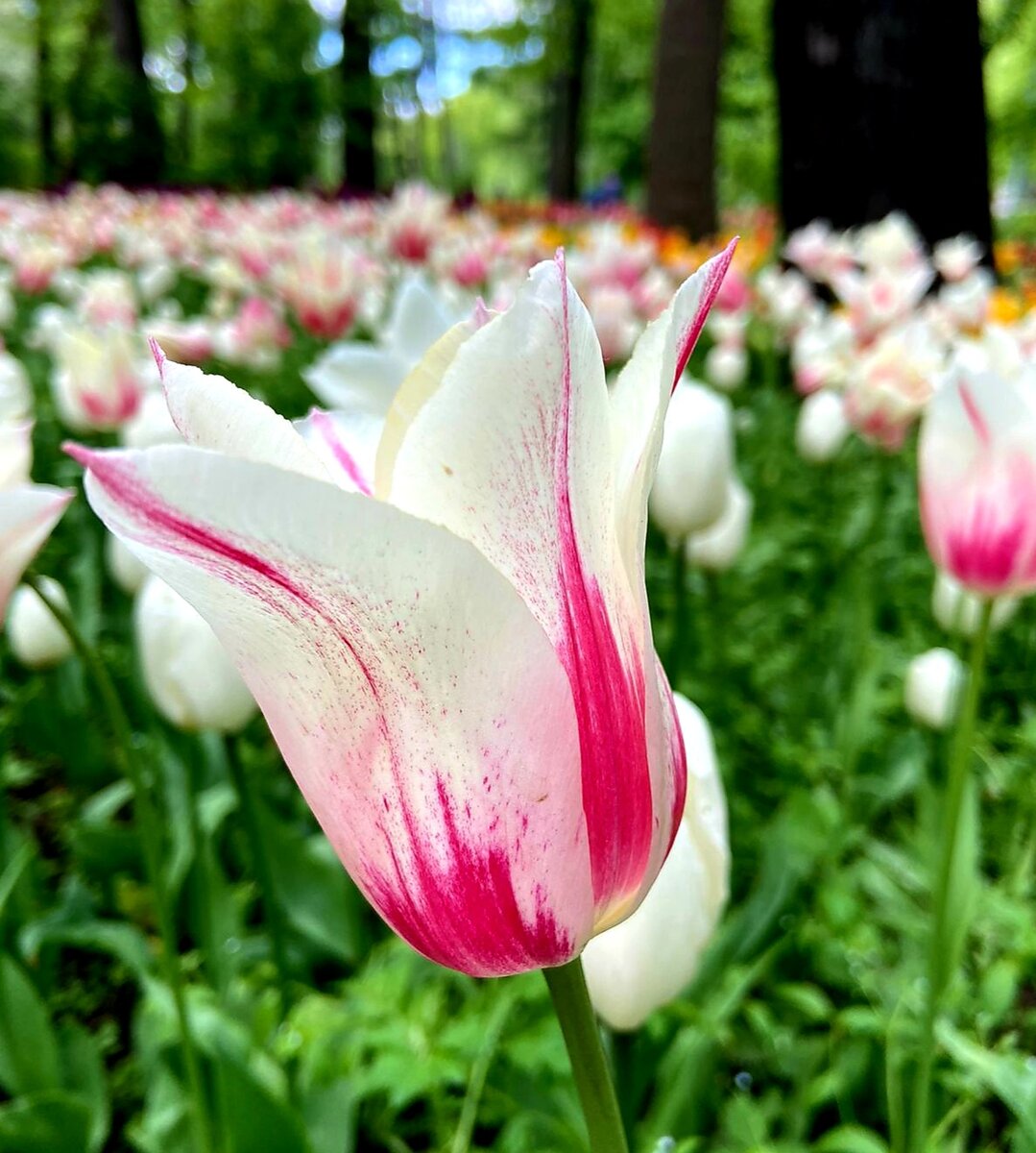 Как всегда, мои фото - для вашего настроения