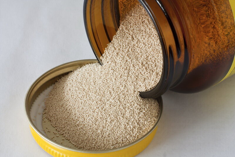 Дрожжи. Иллюстрация для статьи используется по стандартной лицензии