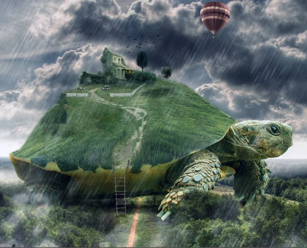 Цикл "Черепашьи хроники". - Фотография взята из открытого источника. Источник Яндекс браузер.