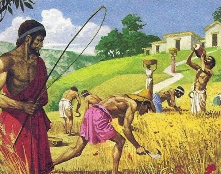 Яндекс картинки.