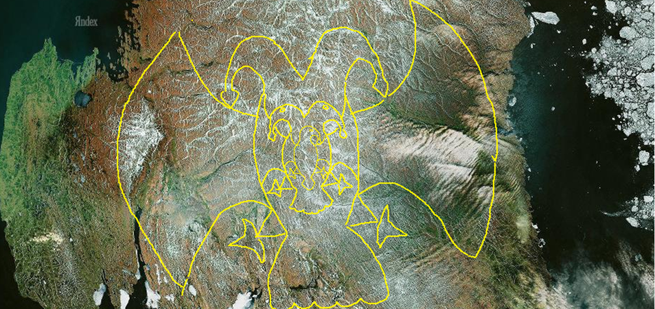 Снимок № 7 Новая Земля священная птица Ибис. Россия.