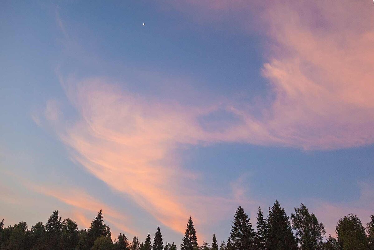 Валдайский национальный парк, август 2022