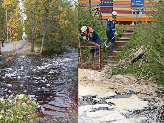     фото: Владимир Любарский / ВК