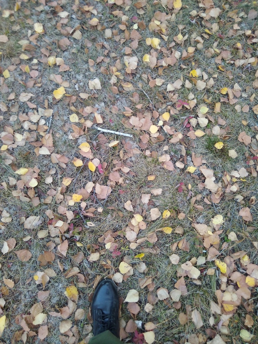 Прогуливаясь на природе😁)))