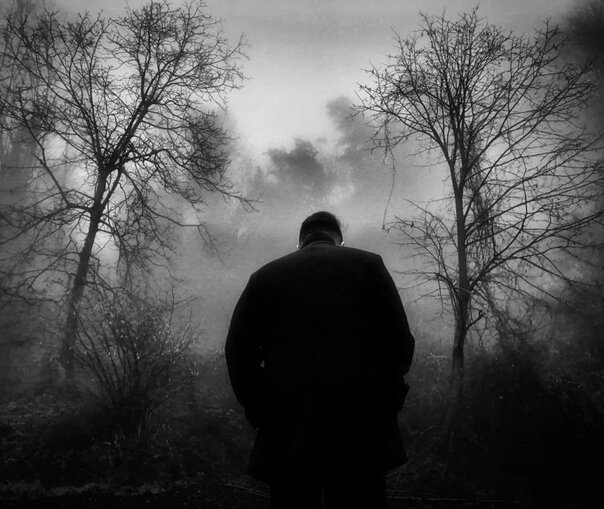 Интернет-картинка