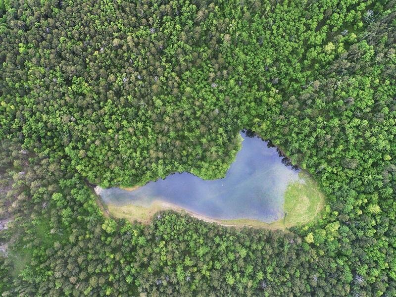 Водоёмы нашей планеты • Окружающий мир, Основы географии • Фоксфорд Учебник