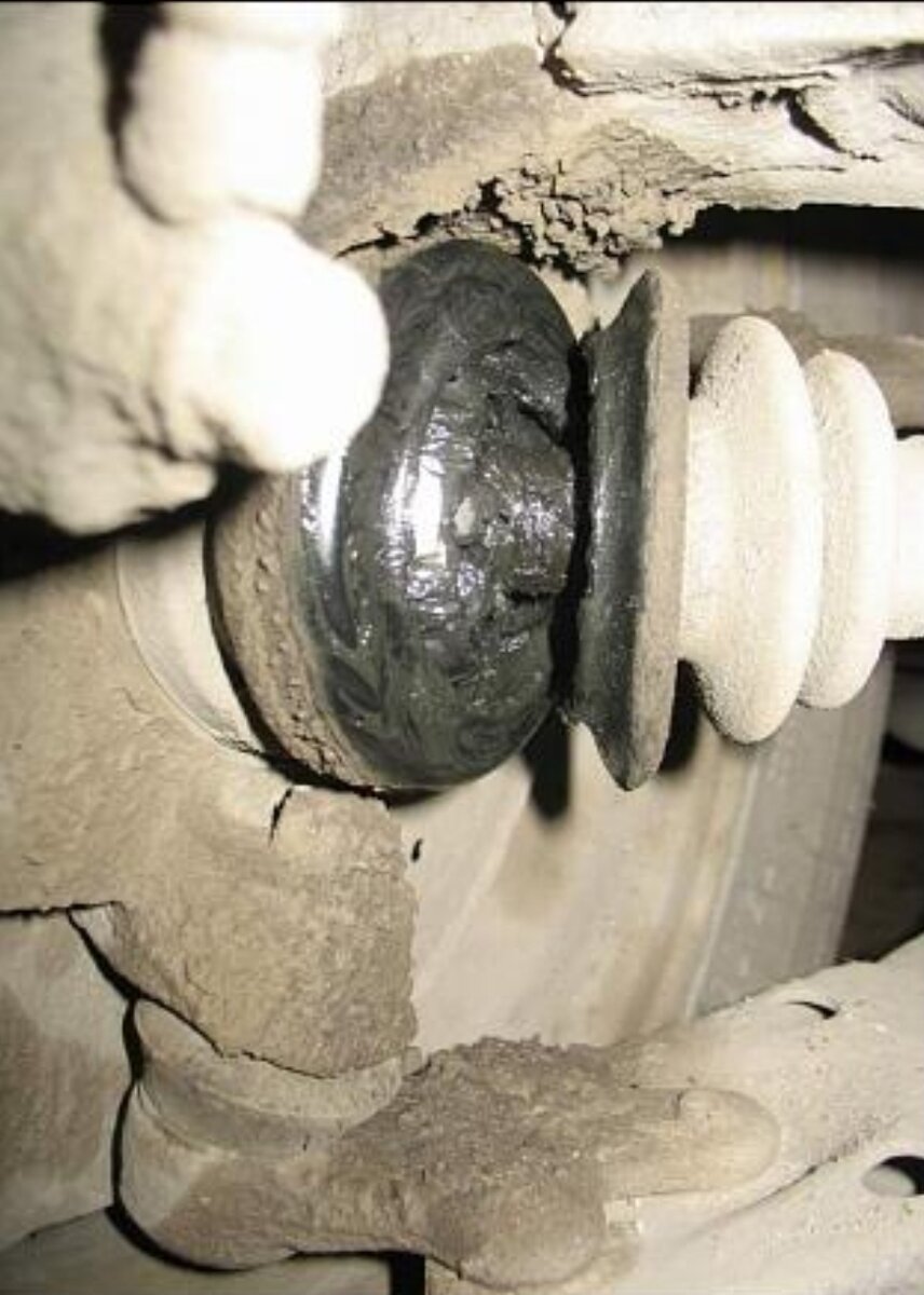 На фото пыльник сильно поврежден у основания 