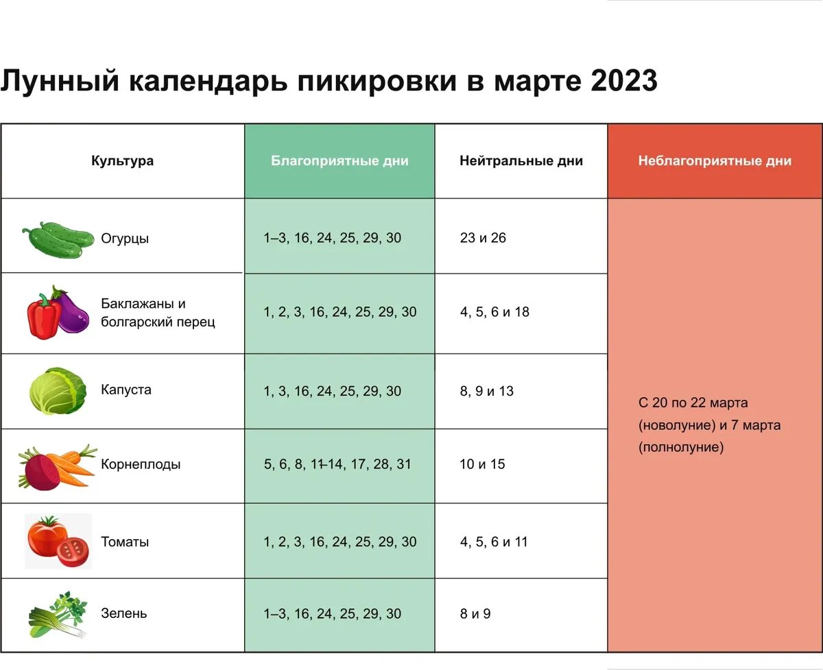 Como hacer renta 2023