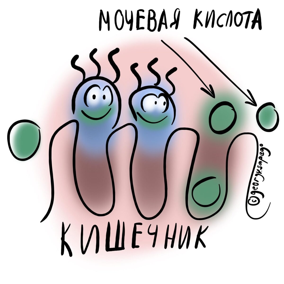 Мало мочевой кислоты | Для пациентов | Дзен