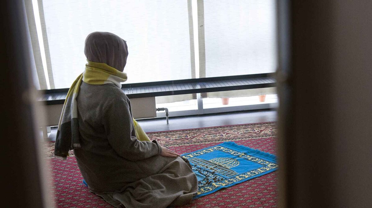 Источник: ttps://www.kristeligt-dagblad.dk/danmark/naevn-blaastempler-forbud-mod-boen-paa-skole