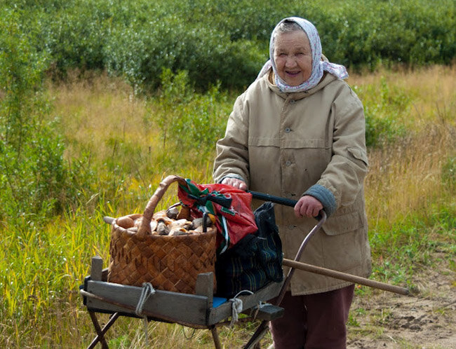 Фото: Яндекс