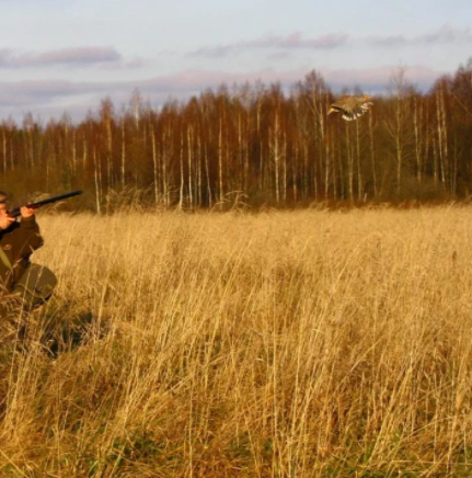 Из источников в свободном доступе