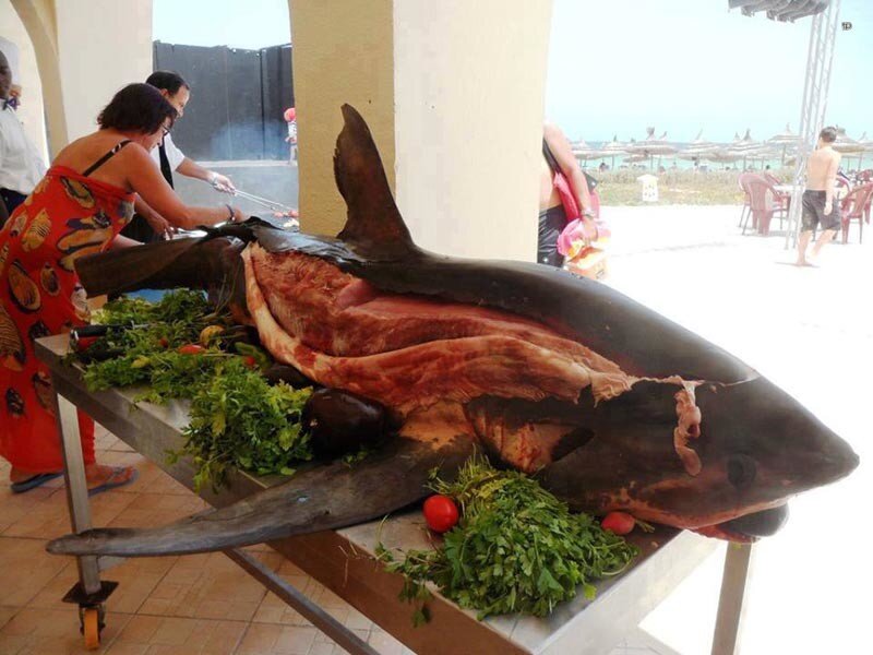 Есть акулье мясо
