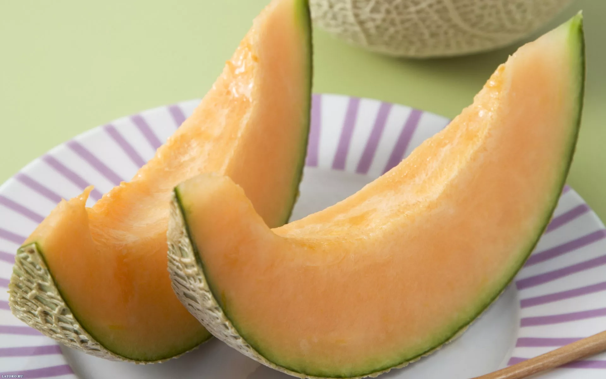 Melon 1