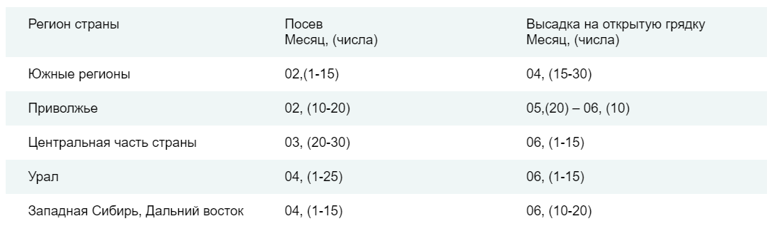 Календарь посева огурцов на рассаду в 2025. График посадки рассады помидоров в сибири. график высадки семян на рассаду урале. сроки посадки рассады помидор в сибири. сроки посадки семян томатов в средней полосе.