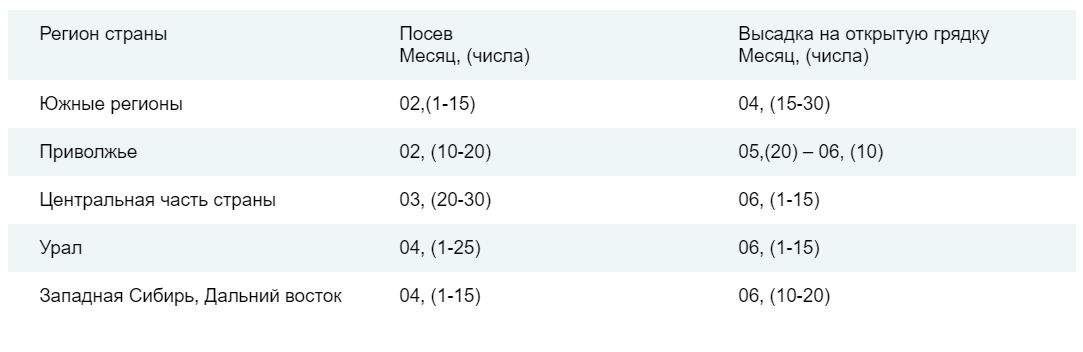 Календарь высадки семян 2024