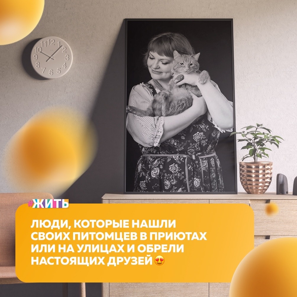 По улицам городов бродят сотни бездомных животных и каждое из них так хочет иметь настоящего друга, который сможет защитить от всех бед и всегда быть рядом🤝

Сегодня мы поведаем о друзьях, которые нашли друг друга. Спасибо добрым людям, что не оставляют животных в беде🙂

А как вы относитесь к зоозащите? Помогаете пострадавшим животным или отдаете предпочтение другим направлениям?

#жить #проектжить #добро #животные