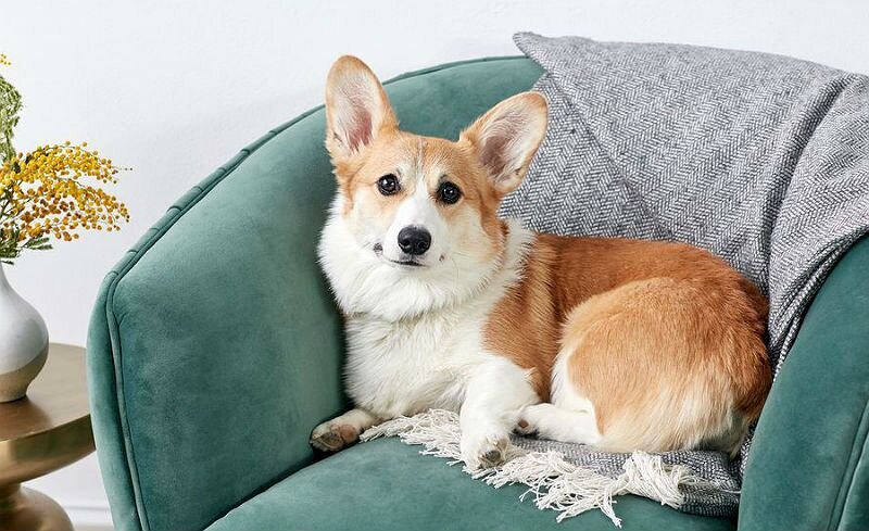 Фото из Интернета