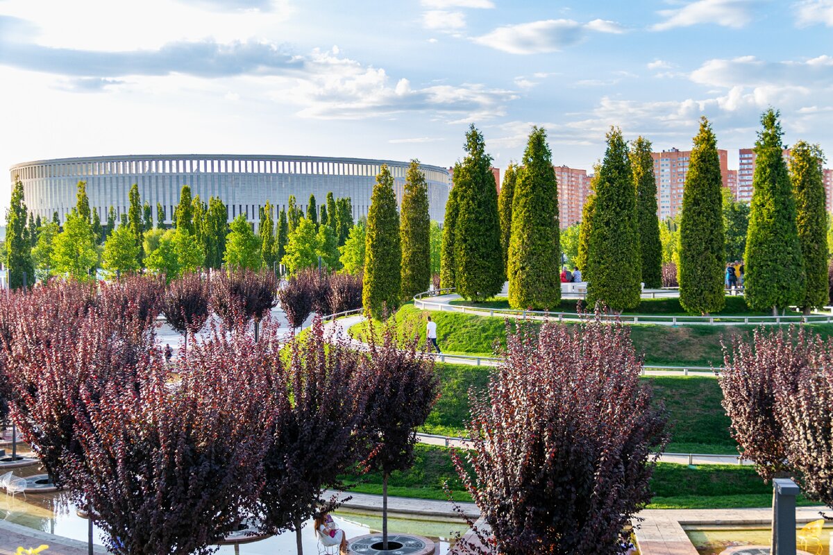 Показать парк галицкого в краснодаре фото