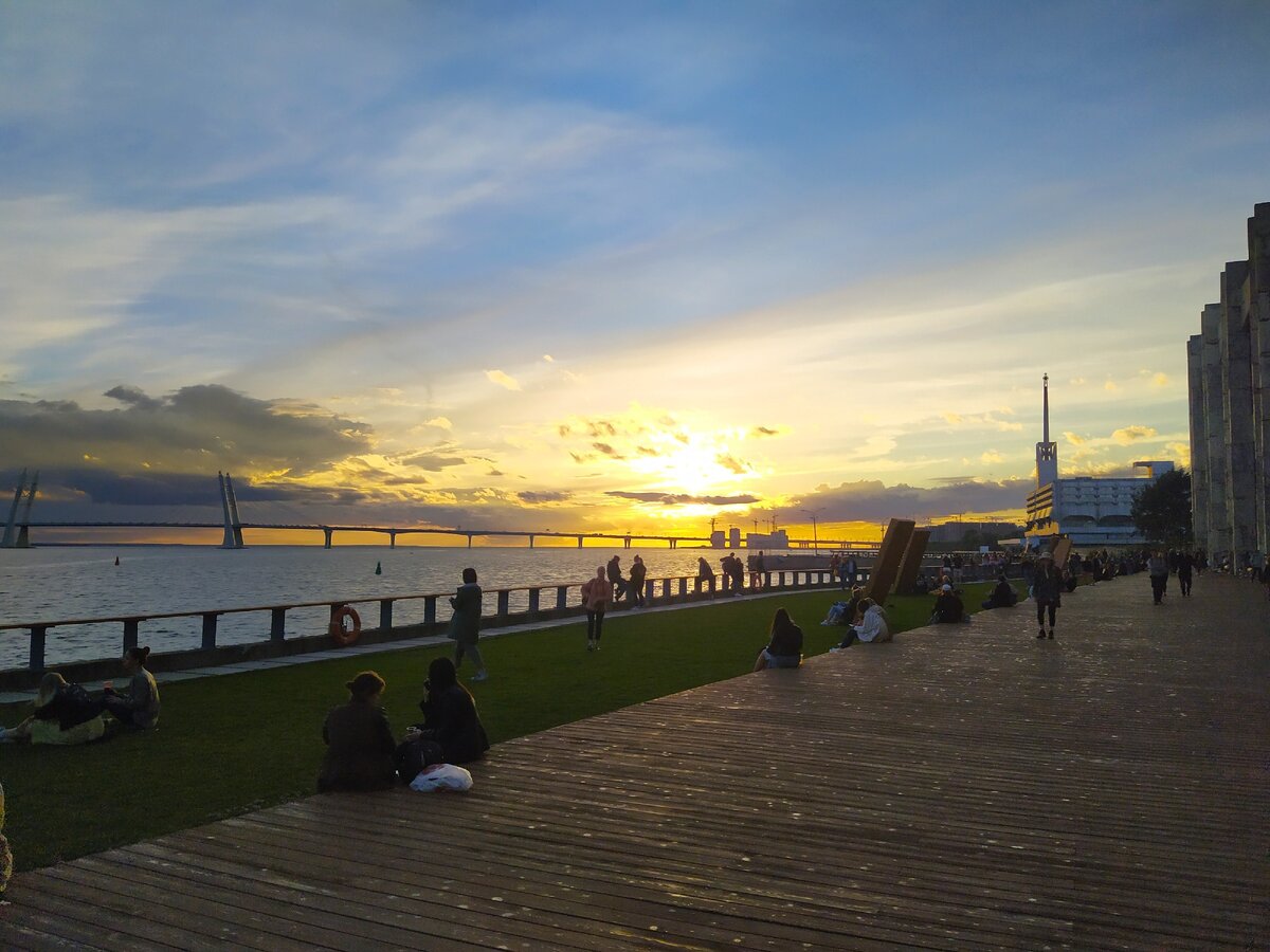 Вид на залив с площадки Севкабель порт. Август 2020