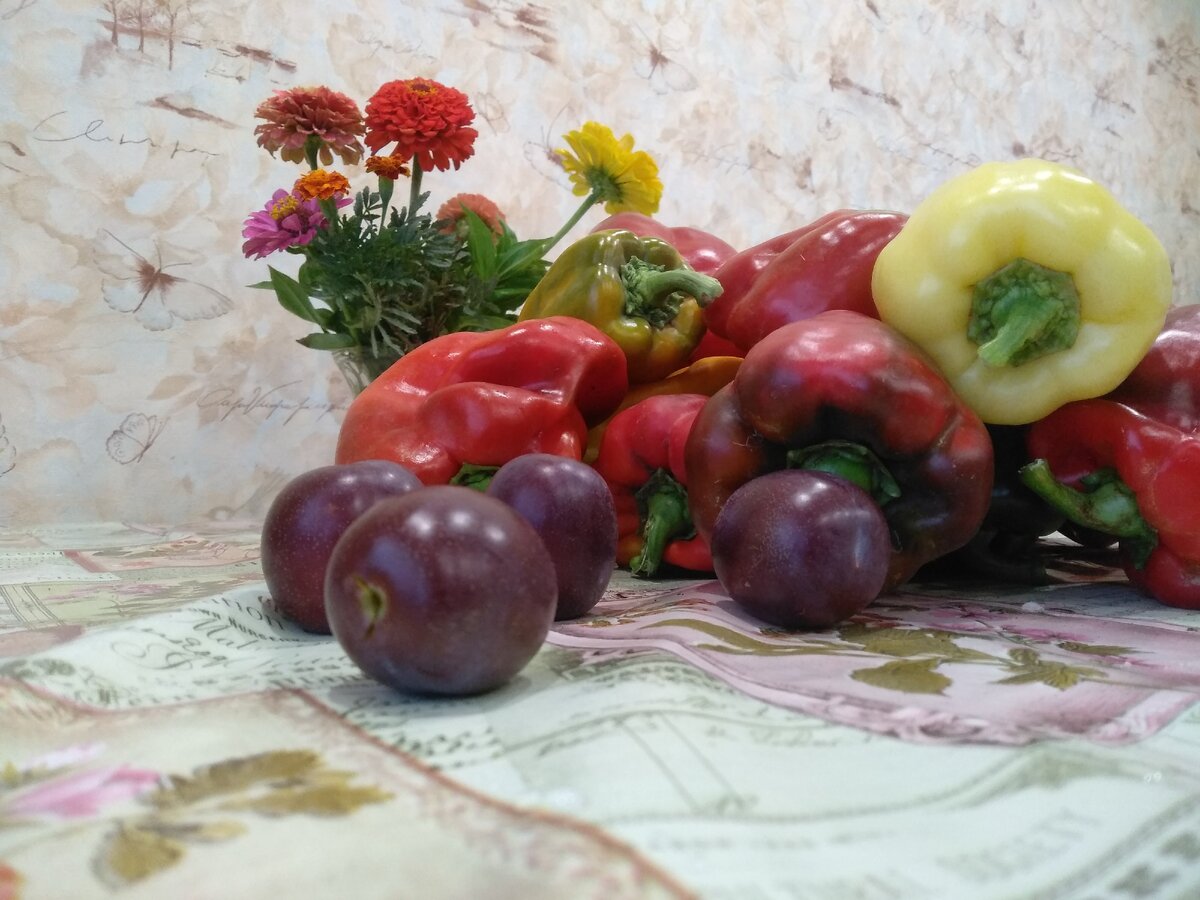 Фото для блога Соловьёвы Соловьёвы.