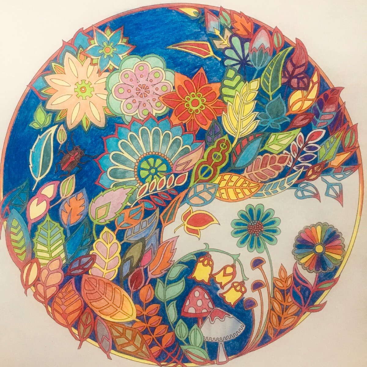 Фото из личного архива. Джоанна Бэсфорд "Зачарованный лес"