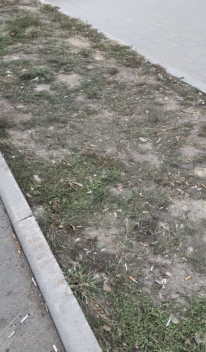 Попробуйте пройтись по улице, лесной тропе или по пляжу и не найти окурок⁣⁣