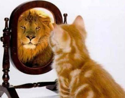 картинка с сайта http://o-motivacii.ru/