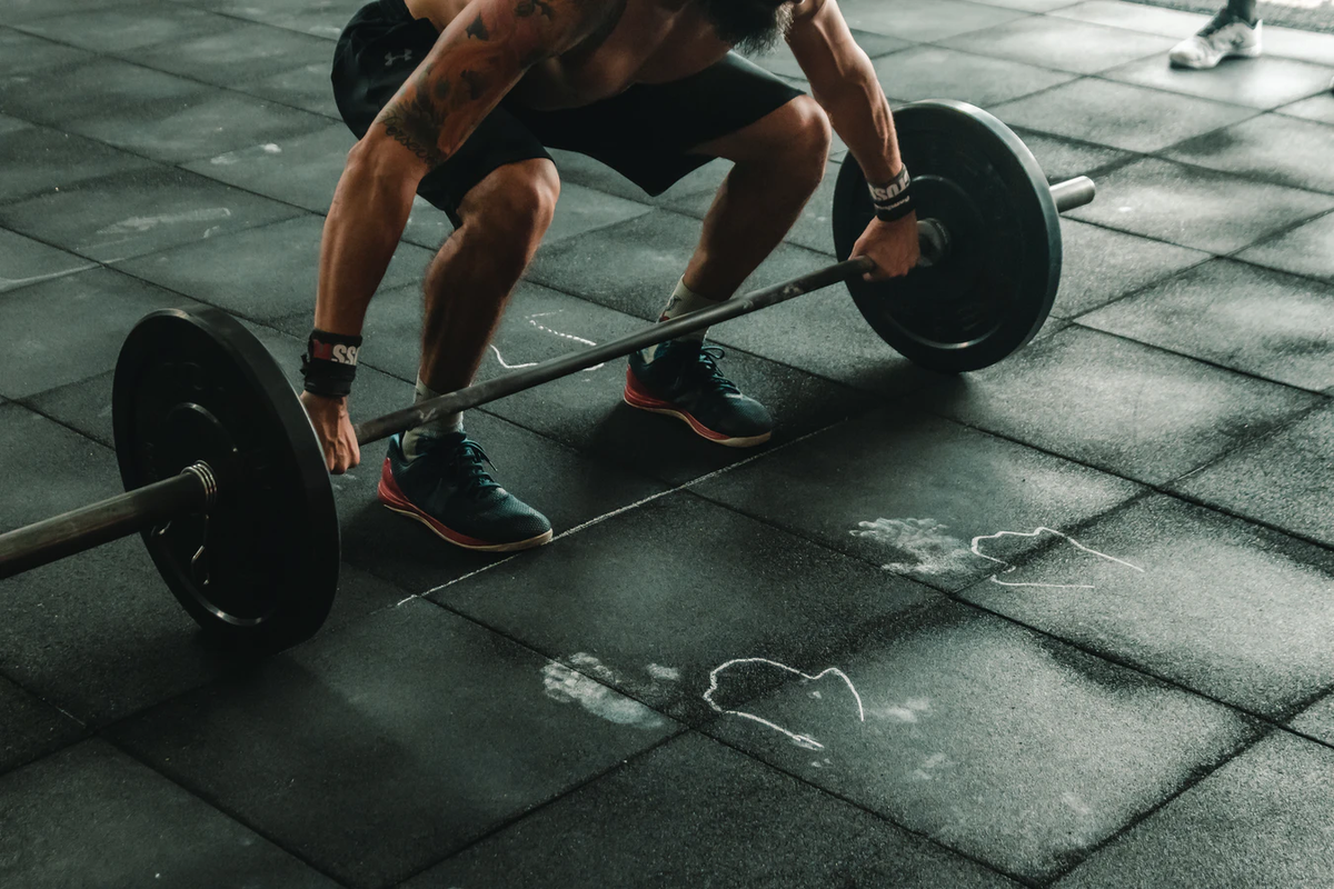 https://unsplash.com/photos/qZ-U9z4TQ6A