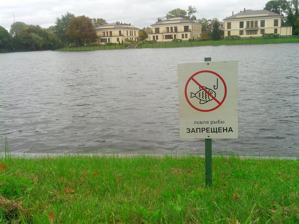 Рыбалка запрещена. Водоем зарыблен рыбалка запрещена. Табличка пруд. Запрет на рыбалку.
