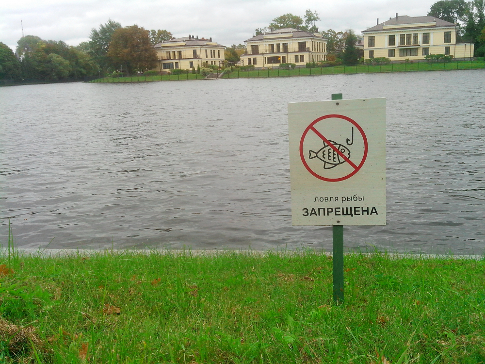 Запрет на рыбалку в москве. Рыбалка запрещена. Водоем зарыблен рыбалка запрещена. Табличка пруд. Запрет на рыбалку.