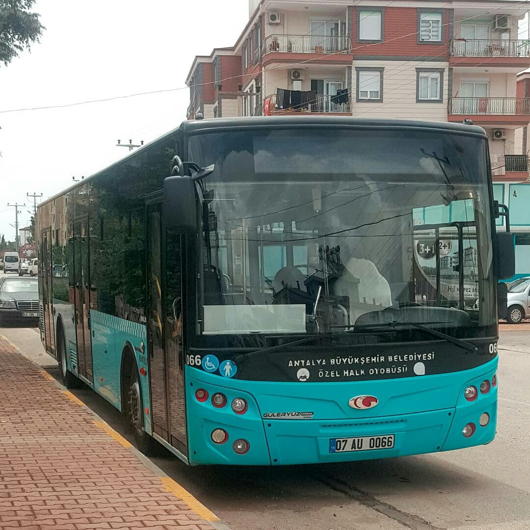 Вот такие они - общественные автобусы.