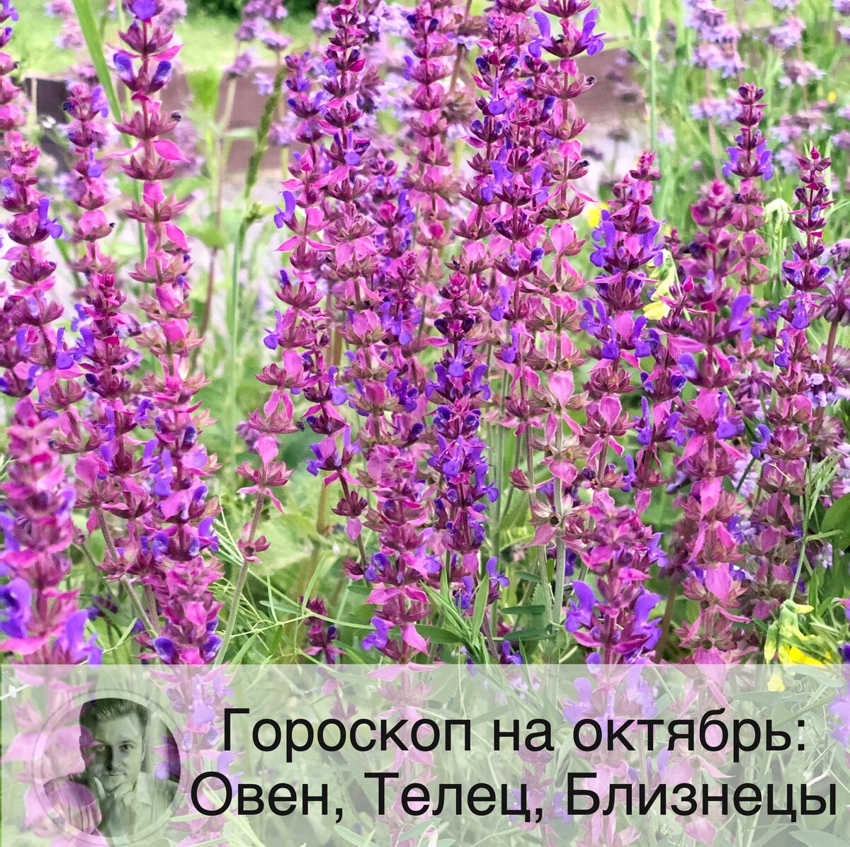 Подписывайтесь на наш канал, друзья!
Гороскоп для всех знаков зодиака. Продолжение смотрите в следующих постах. А нумерологический прогноз по дате рождения на 2020 г. и тайну своего имени. В личном кабинете, зарегистрировавшись по ссылке в описании профиля, или забив в поисковике "астролог Олег Персидский" 👩🏼‍💻

🐏Овен
❤️ В семье могут быть конфликты, так как Овнам будет казаться в октябре, что близкие не разделяют его точку зрения. Постарайтесь идти на компромисс. Также вашей второй половинке может казаться, что вы уделяете ей недостаточно внимания. Возможен служебный роман.
💶 Принимая любое важное решение, прислушивайтесь к своему внутреннему голосу - в октябре интуиция особенно сильна. Возможно разрыв отношений с кем-то из деловых партнеров. Увеличение ваших доходов в будущем зависит от того, как хорошо вы будете работать в сейчас.
🤒 Овнам противопоказана чрезмерная физическая нагрузка, вы можете переоценить свои возможности.

🐂 Телец
❤️ Любовный гороскоп на октябрь для Тельца.
Октябрь - месяц любви и романтики. Постарайтесь не идеализировать своих новых знакомых, чтобы потом не разочаровываться в них. Семейных Тельцов ждет гармония в семье.
💶 В октябре сделайте ставку на усидчивость и внимание к мелочам. Сейчас не время для ярких свершений и карьерного продвижения, в связи с чем вы можете чувствовать неудовлетворение собой. Финансовая ситуация обещает быть стабильной.
🤒 В октябре Тельцам рекомендуется прости осмотр врачей и заняться профилактикой своих хронических заболеваний. Избегайте опасных видов спорта.

👯‍♀️ Близнецы
❤️ Близнецы будут охотно проводить время дома. Отношения с домочадцами будут спокойны и гармоничны.
💶 Сейчас подходящее время для смены работы, если вы давно задумывались об этом. В целом месяц будет наполнен рутинной мелкой работой. В октябре могут быть крупные расходы, поэтому лучше позаботиться о дополнительном источнике дохода.
🤒 В занятия спортом может вмешаться лень.