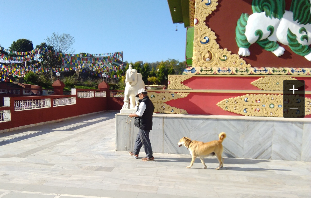 Тибетец в Дехрадуне обходит статую Будды вместе с собачкой.Такое действие очищает карму и ему, и ей.