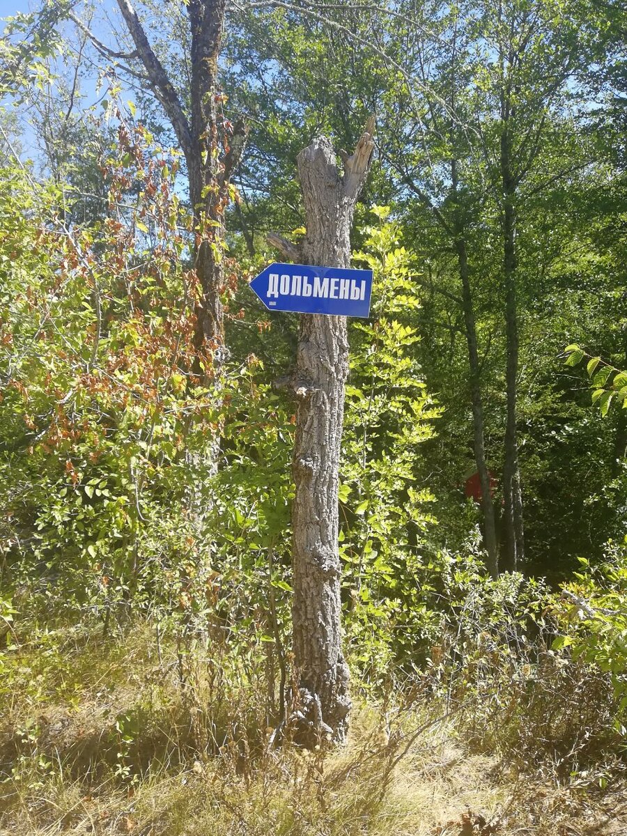 Везде указатели, заблудиться сложно