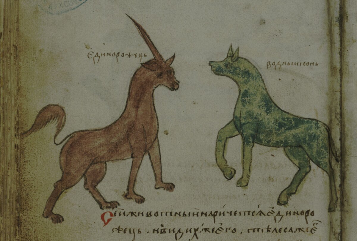 А вот так представляли единорога на Руси. А знаете, кто рядом, что это за водный конь? Это — бегемот, он же гиппопотам. Ну, не видели миниатюристы его никогда, вот и изобразили, как могли