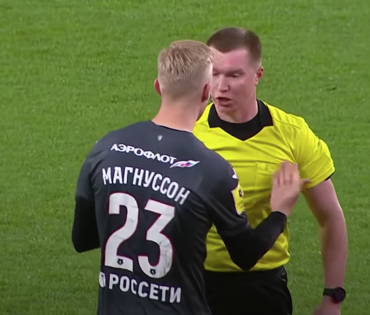 Магнуссон: "Tovarish referee, make your face easier!"