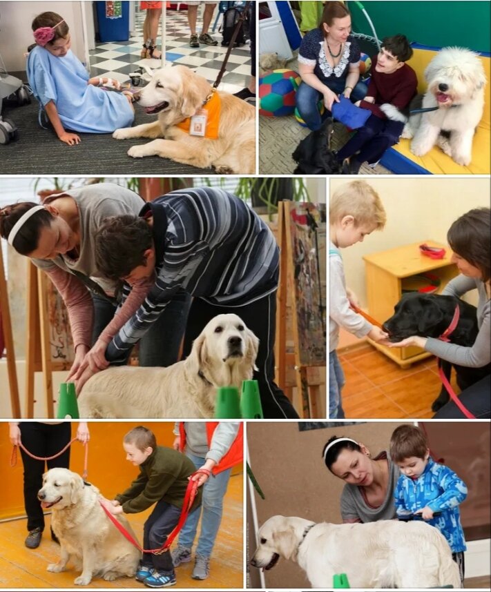 Фото взято из интернет-ресурсов. 