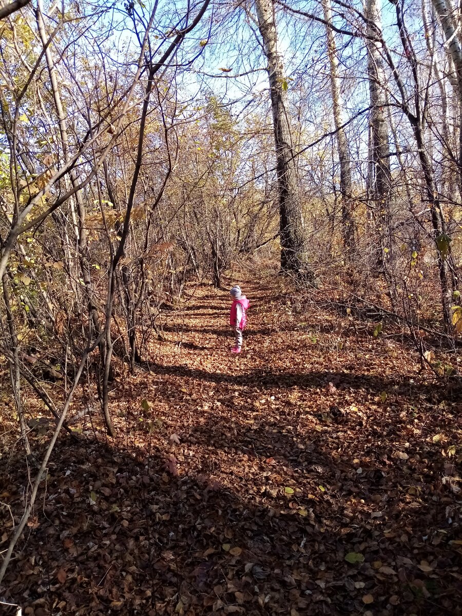 фото с прогулки