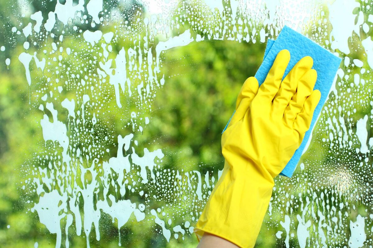 Фотография взята из открытых источников