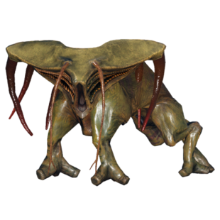 плевательная ящерица