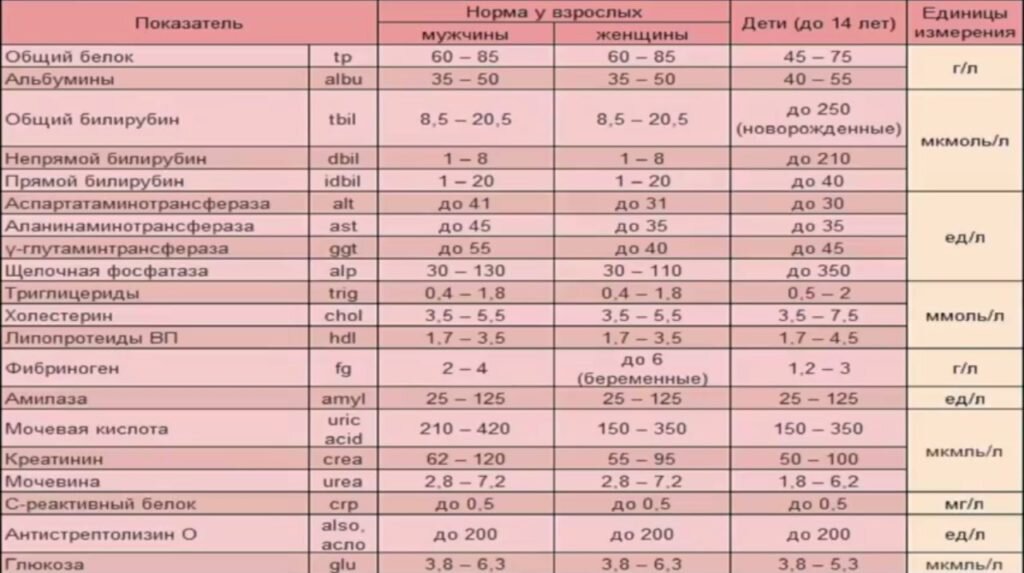 Биохимический анализ крови у мужчин: нормы и расшифровка