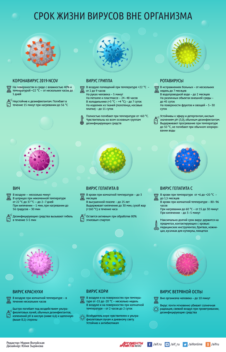 Источник: https://aif.ru/health/life/skolko_zhivut_koronavirus_i_drugie_virusy_vne_organizma_infografika